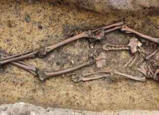Rare Viking Wagon Unearthed in Denmark: 50 Viking Age Burials Found news-01102024-073624