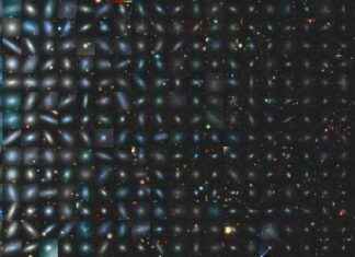 Solitude in Space: The Loneliness of the Milky Way’s Largest Satellites news-01102024-074223