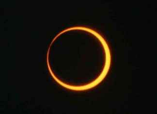 Annular Solar Eclipse Time on Oct. 2: Schedule and Details news-01102024-074741