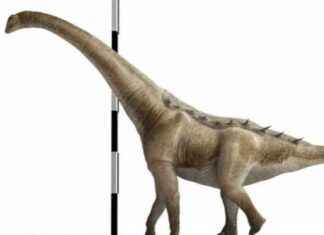 Uncovering Sauropod Migration Patterns Through Unique Discovery news-01102024-074935