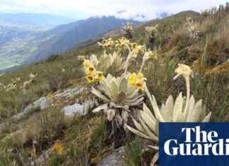 Uncovering 33 Global ‘Dark Spots’ with Thousands of Unknown Plants: Botanists’ Discovery news-01102024-080517