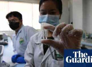 Philippine Scientists Develop Healthier Rice Variety to Combat Diabetes Rise news-01102024-080603