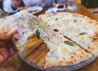 Differences in Melting Properties of Mozzarella, Cheddar, and Ricotta Cheeses news-02102024-193146