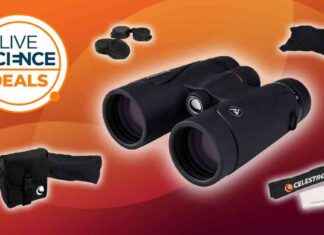 Save 20% on Celestron Binoculars in Limited Time Amazon Deal news-04102024-063344