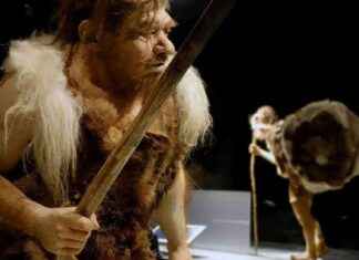 Neanderthals Clothing: What Did Neanderthals Wear? news-04102024-215707