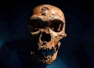 Identifying the Last Neanderthal: Latest Research and Findings news-04102024-215738