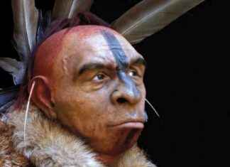 Uncovering the Truth: The Role of Humans in the Extinction of Neanderthals news-04102024-215807