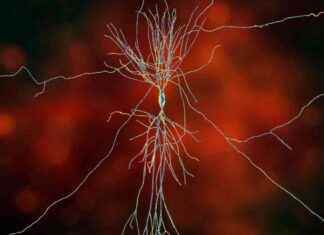 Unconscious Pattern Detection in the Brain: A Fascinating Insight news-05102024-160242