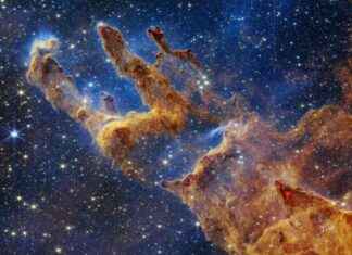 Unveiling the Magic: James Webb Space Telescope Through the Eyes of Maggie Aderin-Pocock news-06102024-161547