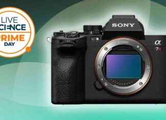 Huge Sony Camera Deal at Walmart Outshines Prime Day news-09102024-050324