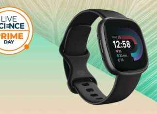 Top Fitbit Prime Day Deals 2024: The Ultimate Savings on Fitness Trackers & Smartwatches news-09102024-170621