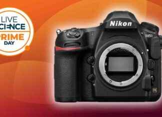 Best DSLR on Sale: Limited Time Offer on Top Camera Model news-09102024-170654