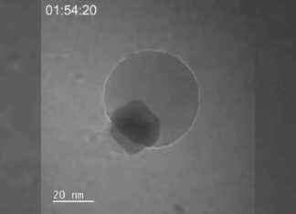First-of-its-kind Nanoscale Video Shows Atoms Fusing into World’s Smallest Water Bubble news-10102024-233004