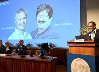 American Scientists Awarded Nobel Prize for MicroRNA Research news-11102024-113630