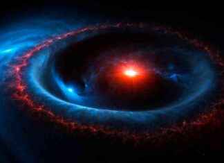 Predicting the Timing of an Exploding Star’s Supernova Event news-11102024-174019