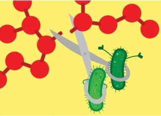 Harnessing Microbes to Degrade Persistent Chemicals: A Promising Solution news-11102024-174105