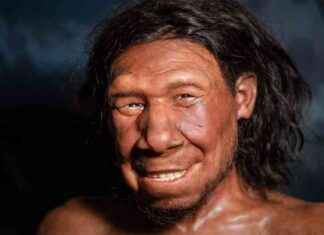 Unraveling Human Origins: Gene and Fossil Discoveries in Focus news-11102024-234730