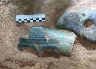 Ancient Jade Dragon Unearthed in Chinese Tomb: A 5,000-Year-Old Discovery news-14102024-210542