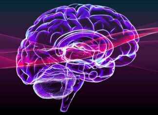 AGI Benchmark: Assessing AI Models for Catastrophic Harm news-14102024-210611