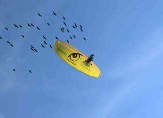 Teaching Endangered Birds to Migrate for Conservation Efforts news-16102024-154327