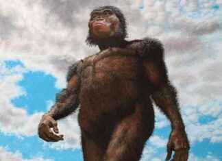 Uncovering the Significance of ‘Lucy’, Our Fossil Human Ancestor news-17102024-035028