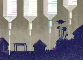 Global Impact: Number of Lives Saved by Vaccines Worldwide news-17102024-155549