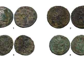 Discovery of Rare Roman-Era Coins in German Mountains: A Hidden Treasure Unearthed news-18102024-043347