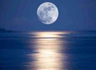 The Science Behind the Moon Appearing Larger Near the Horizon news-18102024-164400