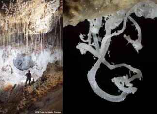 Exploring Carlsbad Caverns: Discover New Mexico’s Stunning Underground Wonders news-18102024-164711