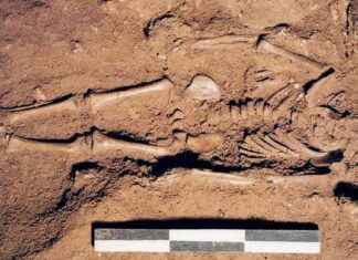 Ancient Blue-Eyed Baby Boy Remains Discovered in Italy: 17,000-Year-Old Find news-18102024-224832