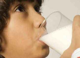 Dairy’s Impact on Antibiotic Effectiveness: Explained news-19102024-225958