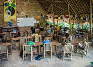 Exploring Worldschooling: Everything You Need to Know news-21102024-170558