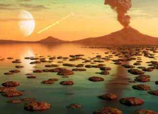 Thriving Early Life on Earth: Surviving Catastrophic Asteroid Impacts news-21102024-230717