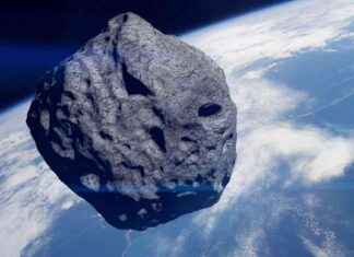 Impact of Giant Meteorite Strike on Earth’s Life Diversity: Research Findings news-22102024-110953