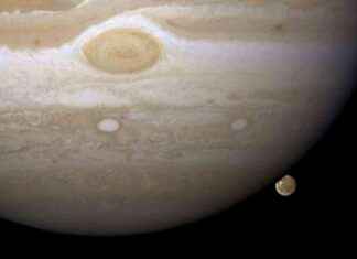 Jupiter’s Moons: A Complete Guide to How Many Moons Jupiter Has news-22102024-172308