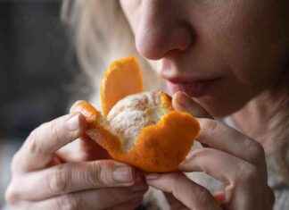 Understanding Anosmia: How the Inability to Smell Impacts Breathing news-22102024-233520