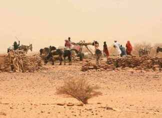 Rising Global Conflict: Impact of Climate Change on World Events news-24102024-180609