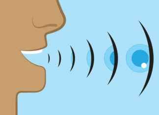 Master Echolocation in 10 Weeks: Transform Your Brain with this Skill news-24102024-180639