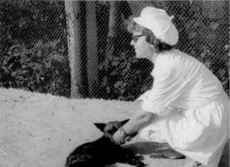 Uncovering the Legacy of the Russian Geneticist Who Studied Silver Foxes: A Tribute news-24102024-180708