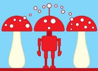 Enhancing Robot Intelligence with Mushrooms: A Guide news-25102024-182226