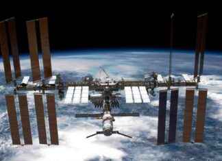 Growing Livers in Space: How Microgravity Benefits Astronaut Health news-26102024-003021