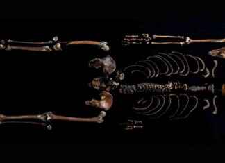 DNA Analysis Confirms Historic Event in Norse Saga: Medieval Man Found in Well news-26102024-063308