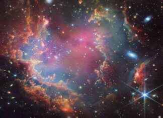 Exploring ‘Failed Stars’ Beyond Milky Way: James Webb Telescope’s Discovery of Early Universe Secrets news-30102024-071636