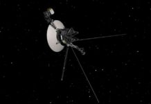 news-31102024-023706