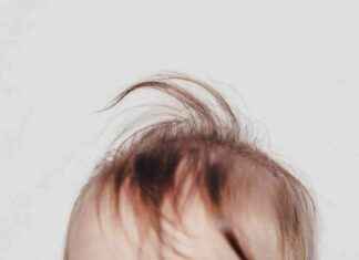 Can the Coriolis Effect Influence Your Cowlick? news-01112024-051923