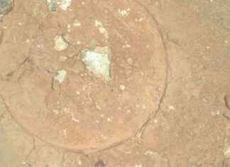 Unusual Green Martian Spots Discovered by NASA’s Perseverance Rover news-03112024-204542