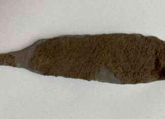 Ancient Copper Dagger Unearthed in Italian Cave: A Remarkable Find news-07112024-162410