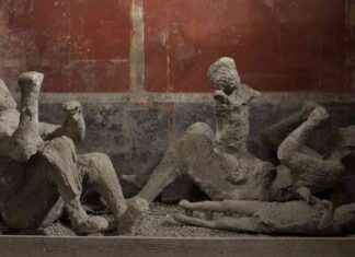 Revealing Pompeii Victims: DNA Analysis Unveils New Identities news-07112024-222556