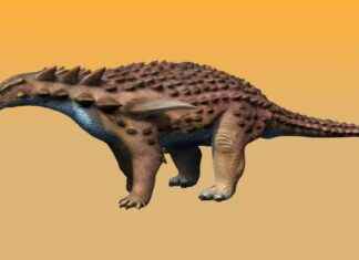 ‘Armored Dinosaur’s ‘Bulletproof Vest’ Could Withstand High-Speed Car Crash’ news-08112024-042803