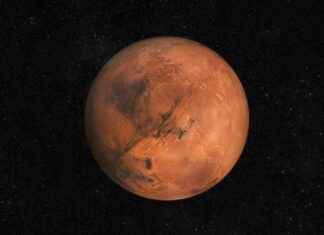 Celebrate the Martian New Year with Joyful Festivities news-08112024-163136